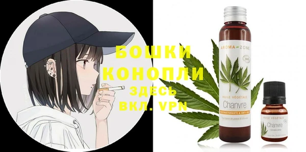 PSILOCYBIN Тында