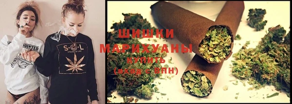 spice Дмитров